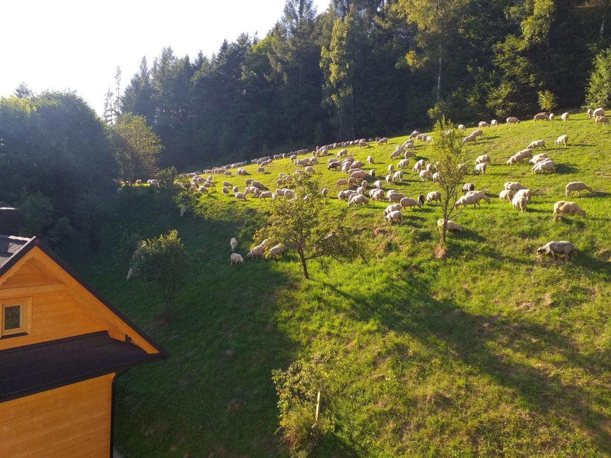 Chalet Pod Groniem Mizerna