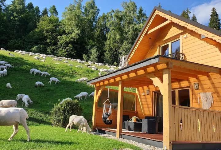 Pod Groniem Chalet